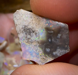 The 48.5cts - 40+ pieces Lightning Ridge Crystal Opal Rough - Opal Whisperers