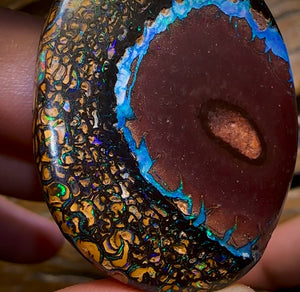 258.1cts - “Crazy Eyes” Top Tribal Yowah Nut Opal Pair. Double Sided