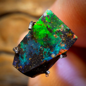 🔨 AUCTION 🔨 1.4cts - Queensland Boulder Seam Opal Rub