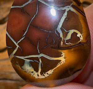 77.9cts - Queensland Boulder Opal BARGAIN