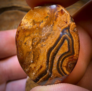 76.2cts - 3x Australian Tribal Boulder Opal’s. Wholesale Dealers Parcel