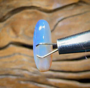 2.9cts -“Little Boy Blue” Lightning Ridge Crystal Opal - Opal Whisperers