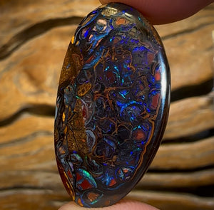 26.3cts - Top Electric Tribal Queensland Boulder Opal from Koroit