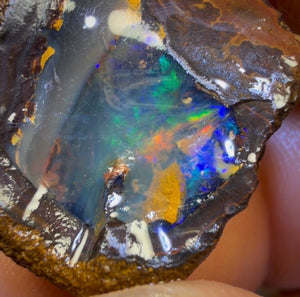 Bargain Card! 52cts - Super Rare Yowah Nut Black Crystal Centre Opal Rough Specimen