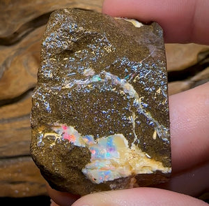 170.3cts - Australian Boulder Opal Rough Piece. Natural Split - Opal Whisperers