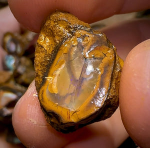 261.8g - 29x Yowah Nut Rough Pieces. Australian Opal With Kernel Crystal Centres. Less than $1/ct - Opal Whisperers