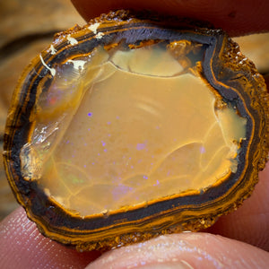 Awesome 🔨 AUCTION 🔨 Action 29.7cts - Yowah Nut Crystal Centre Opal Rough Half