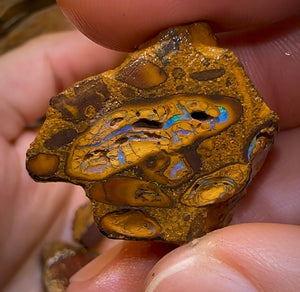 436.8cts - 12x Yowah Opal Rough Pieces. Australian Boulder Opal - Opal Whisperers
