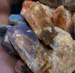 200.2cts - 25x Lightning Ridge Fossil Replacement Opal Rough Parcel Under $2/Ct - Opal Whisperers