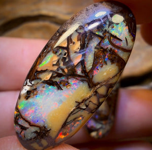 33.1cts - Cathedral AKA Stained Glass Window Australian Boulder Wood Fossil Opal Pair