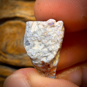 13.1cts - Lightning Ridge Opal Rough Piece. Isaac’s Cutter’s!