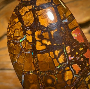 🔨 AUCTION 🔨 Reserve 💎 High Roller Banger Auction 💎 281.9cts - “Thick and Chunky” Large Tribal Yowah Nut Opal