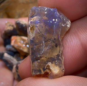 200.2cts - 25x Lightning Ridge Fossil Replacement Opal Rough Parcel Under $2/Ct - Opal Whisperers