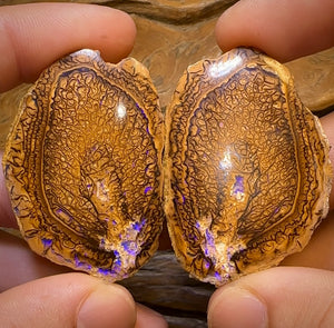 209.4cts - “Tribal Leaves” Yowah Nut Opal Polished Specimen Pair