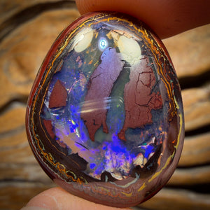 50.2cts - Yowah Nut Partial Crystal Centre Opal. Australian Boulder Opal