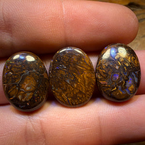 50.8cts - 3x Australian Tribal Boulder Opal’s. Wholesale Parcel