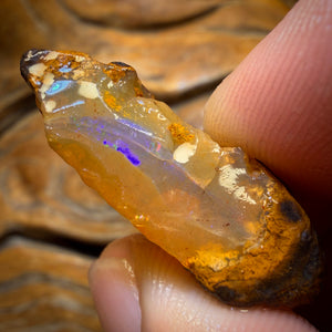 50.8cts - Yowah Nut Crystal Centre Opal Rough Piece