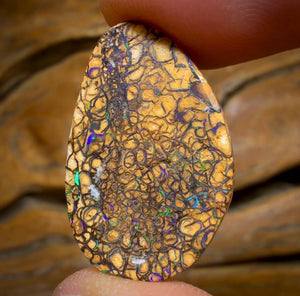 WildCard! 16.5cts - Tan Tribal Australian Boulder Opal from Yowah