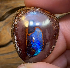 67.5cts - Yowah Nut Kernel Opal. Australian Opal - Opal Whisperers