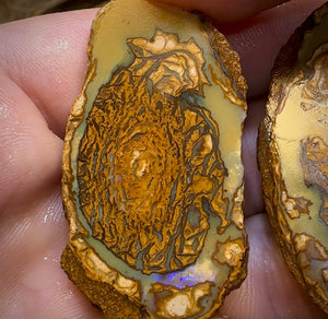136.3cts - Yowah Nut Rough Specimen Pair. Australian Boulder Opal - Opal Whisperers