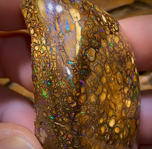 322.1cts - Rare Polished Tribal Yowah Nut Opal Geological Specimen with Gypsum