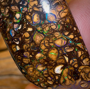 66.2cts - Yowah Nut Tribal Opal - Opal Whisperers