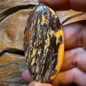 Checkout My WildCard Wood! 159.2cts - Australian Boulder Opal from Yowah. Double Sided