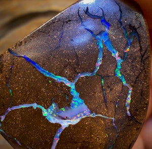 31.2cts - Queensland Boulder Seam Opal. Multicolours!
