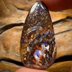 51.3cts - Tribal Koroit Nut Opal. Double Sided