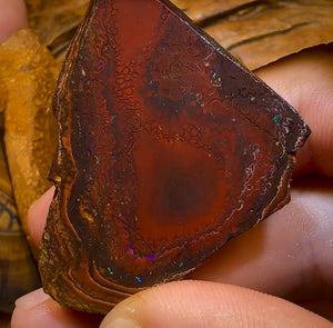 222.7g - 5x Yowah Nut Matrix Rough Slabs. Boulder Opal Parcel BARGAIN - Opal Whisperers