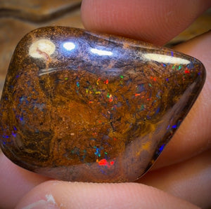 46.2cts - Queensland Boulder Opal. Bubbleband Formation With Red