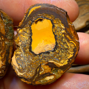 173cts - RARE Yowah Nut Partial Crystal Centre Rough Specimen Pair
