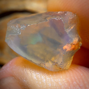 🔨 AUCTION 🔨 18.8cts - Opalised Shell Geological Specimen from South Australia. Pure Water Crystal