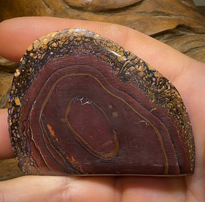 509cts - Large Tribal Australian Boulder Opal Specimen Polished - Opal Whisperers