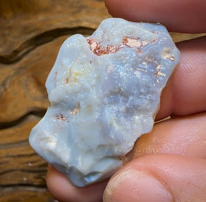 47.5cts - Dark Opal Rough Piece from Lightning Ridge. - Opal Whisperers