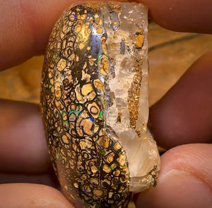 243.8cts - Rare Polished Tribal Yowah Nut Opal Geological Specimen with Gypsum