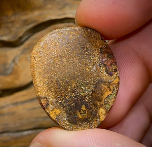 32.3cts - Yowah Nut Tribal Opal - Opal Whisperers