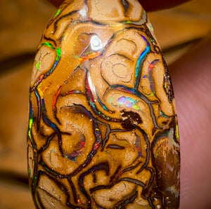 28.5cts - “Celebrity Stone” Top Tan Tribal Yowah Nut Opal. Featured on “Outback Opal Hunters”!