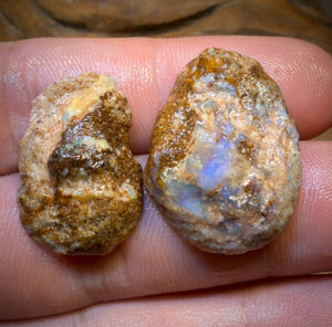 31.5cts - Yowah Fossil Opal Rough Pair. Australian Opal