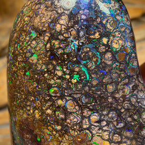 176cts - Large Tribal Queensland Boulder Opal from Yowah