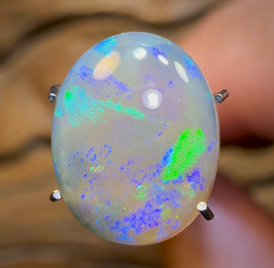 3.1cts - Lightning Ridge Crystal Opal - Opal Whisperers