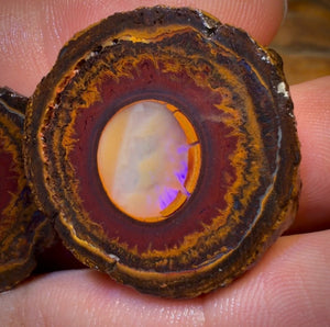 OpalFest Wildcard! 114.3cts - RARE Yowah Nut Crystal Centre Rough Specimen Pair