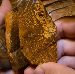 222.7g - 5x Yowah Nut Matrix Rough Slabs. Boulder Opal Parcel BARGAIN - Opal Whisperers