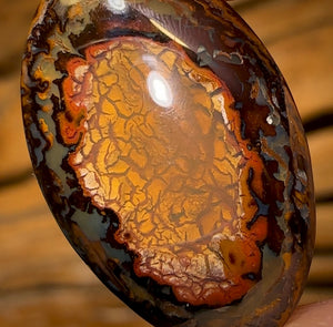 9.6cts - Yowah Nut Kernel Opal. Australian Boulder Opal