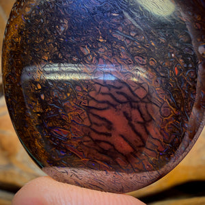 101.4cts - Big Tribal Yowah Nut Opal. Double Sided Bargain