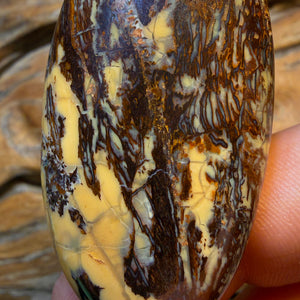 Checkout My WildCard Wood! 159.2cts - Australian Boulder Opal from Yowah. Double Sided