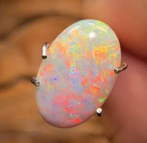 1.4cts - Lightning Ridge Dark Opal BARGAIN