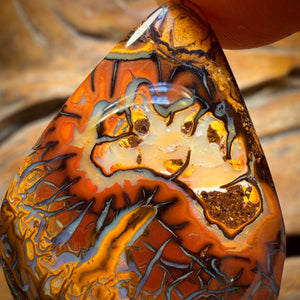 44.8cts - Top Tribal Koroit Nut Opal. Double sided