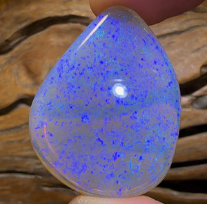61.2cts - HUGE GEM Lightning Ridge Crystal Opal. Heritage Collection - Opal Whisperers