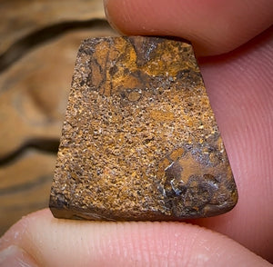 19.3cts - āElvisā Picture Stone Polished Koroit Nut Opal Specimen with Kernel - Opal Whisperers